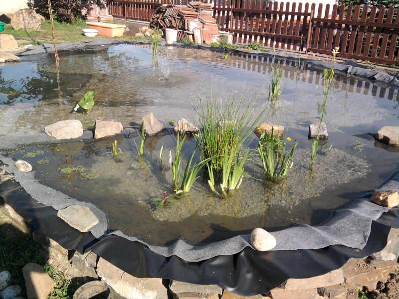 Fotografia0294