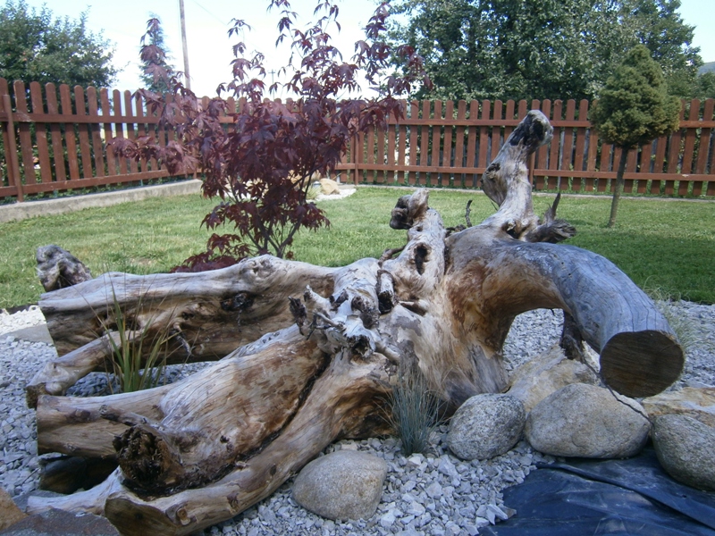 P8140811